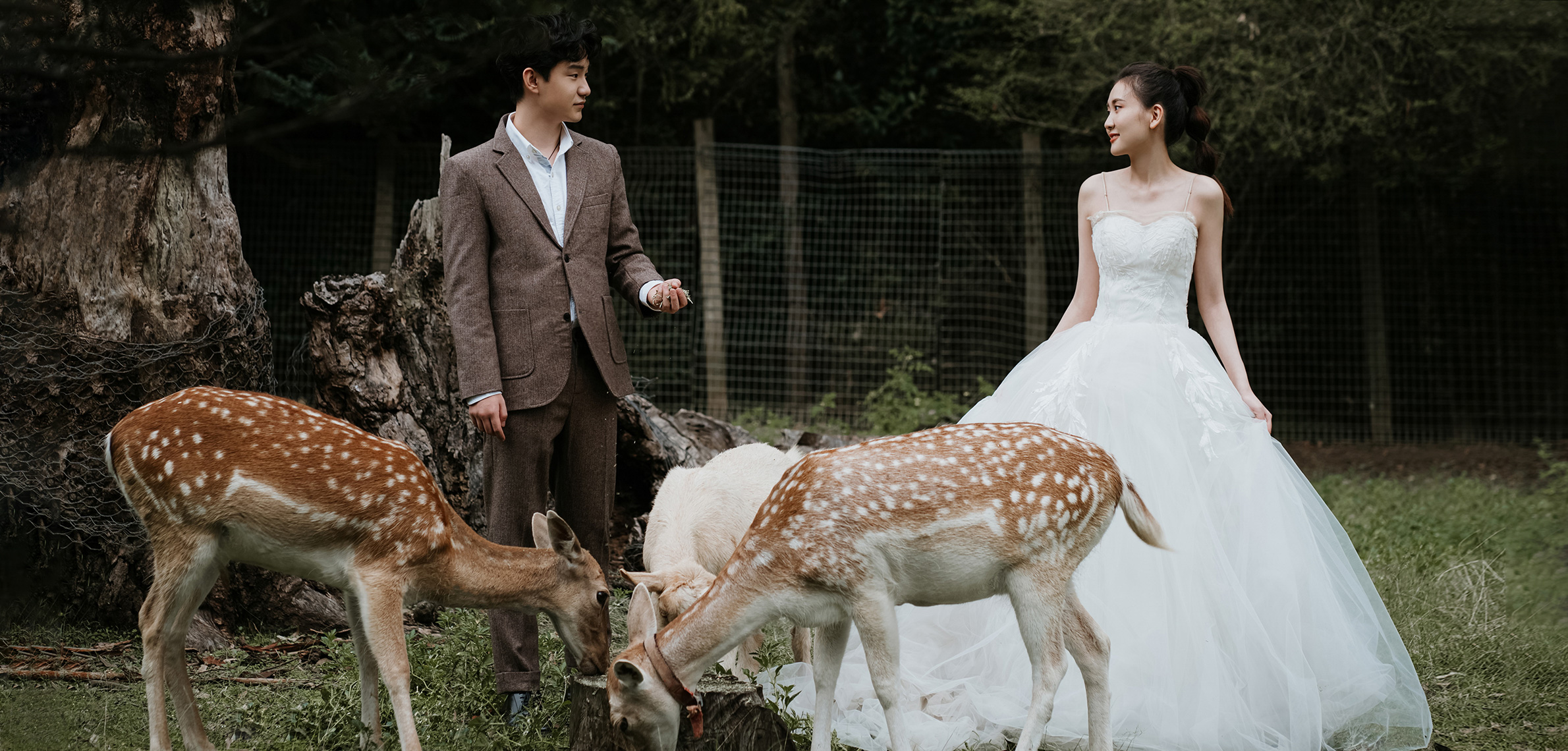 悉尼婚紗攝影,雪梨婚纱摄影,悉尼婚纱旅拍,悉尼婚纱影楼,悉尼婚纱照,墨尔本婚纱旅拍,墨爾本婚紗攝影,墨爾本婚紗照,悉尼婚禮跟拍,悉尼婚禮攝影攝像,悉尼婚礼摄影摄像,澳洲旅拍,澳大利亚婚纱旅拍,悉尼网红婚纱拍摄点,网红旅拍婚纱照,悉尼婚礼拍摄,Centennial park婚纱拍摄,新西蘭婚紗攝影,新西兰婚纱照,新西兰婚纱旅拍,新西蘭婚紗照